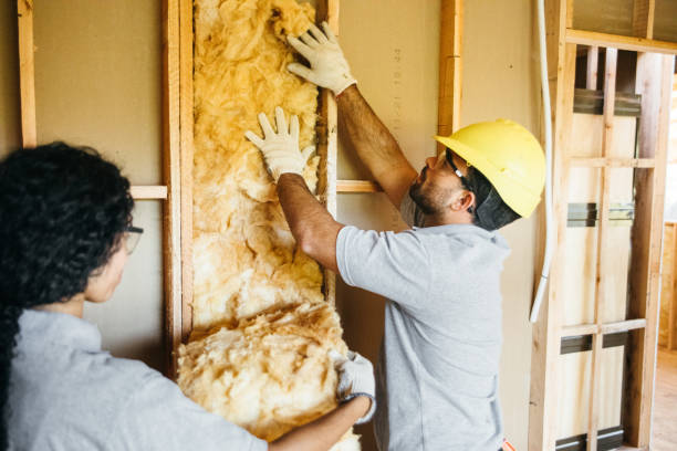Best Insulation Replacement Services  in Suquamish, WA